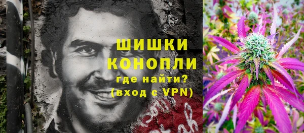 PSILOCYBIN Дмитров