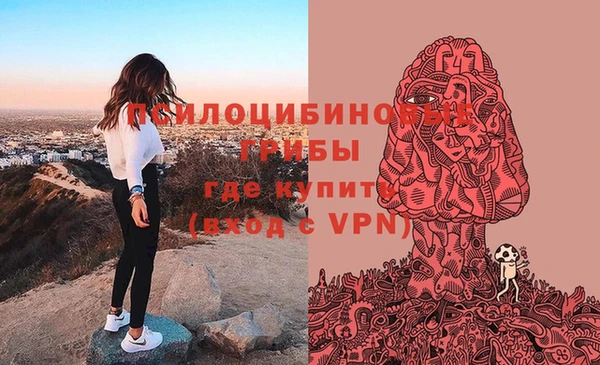 PSILOCYBIN Дмитров