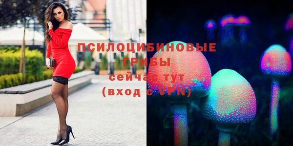 PSILOCYBIN Дмитров