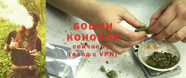 PSILOCYBIN Дмитров