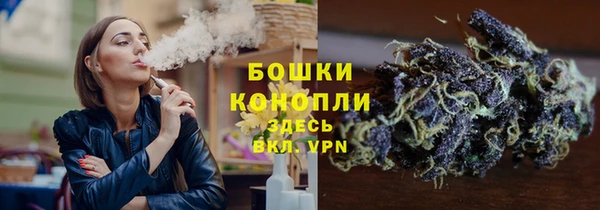 дурь Дмитровск