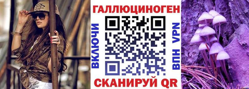 Псилоцибиновые грибы Psilocybe  Кисловодск 